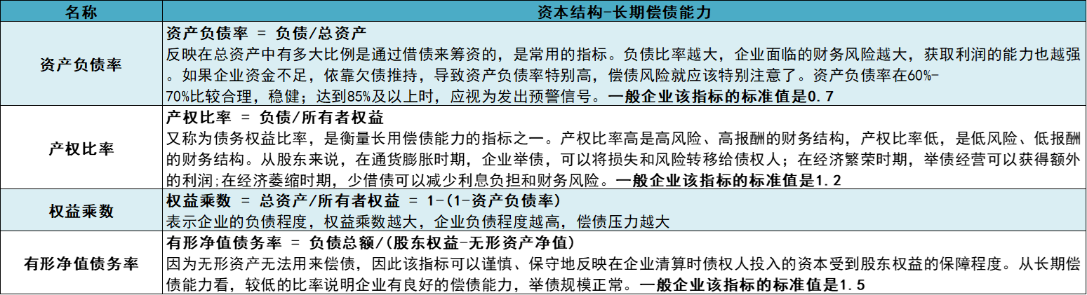 长期偿债能力